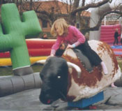 Rodeotyr